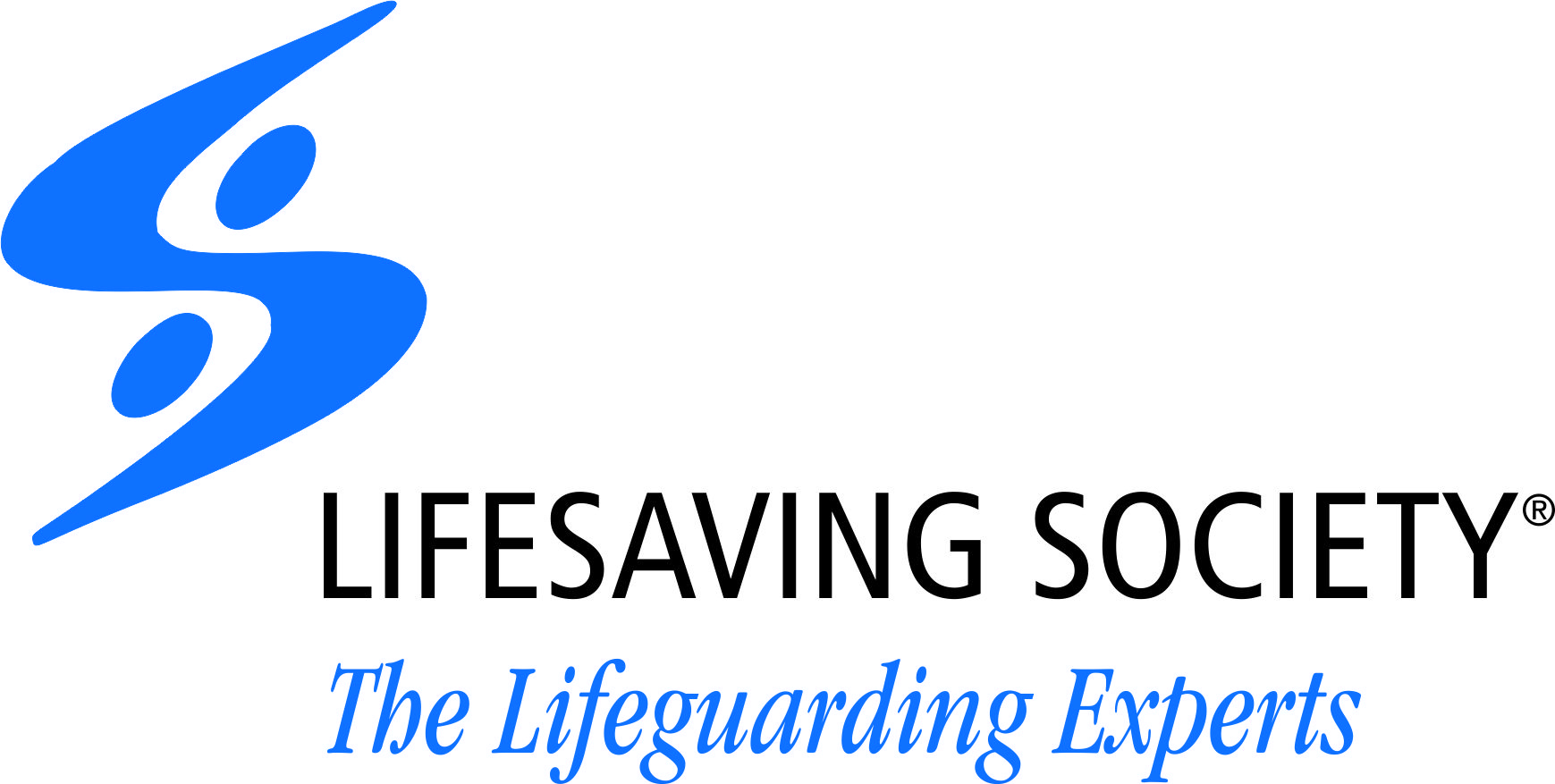 LSS Logo